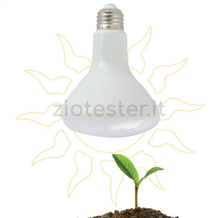 Grow Light Bulb
