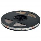 Nastro LED Strip 24V IP65 6W/m Waterproof