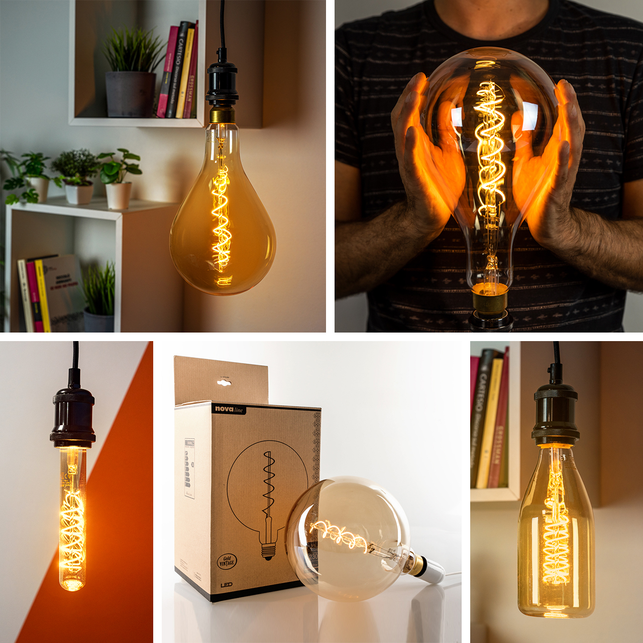 Lampadine vintage di grandi dimensioni